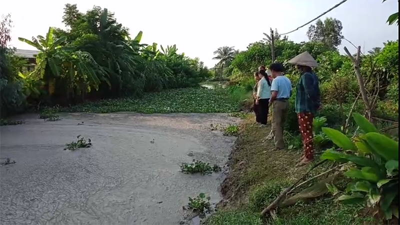 Cận cảnh nước thải trang trại lợn bủa vây khu dân cư ở Hải Phòng ảnh 4