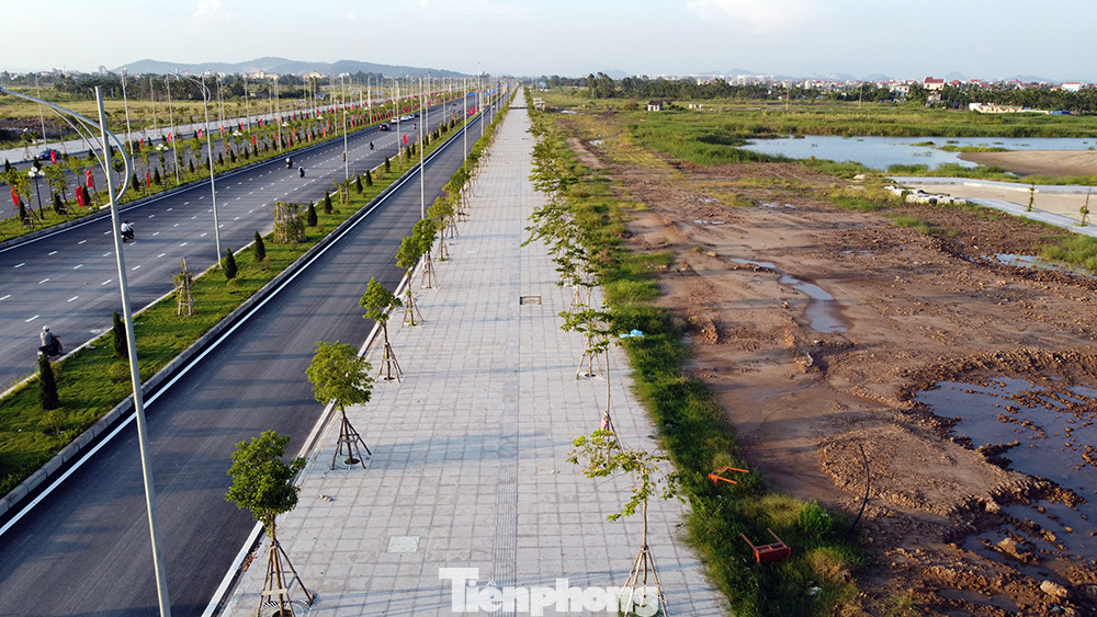 Cận cảnh cây cầu 'Cánh chim biển' của thành phố Hải Phòng ảnh 9