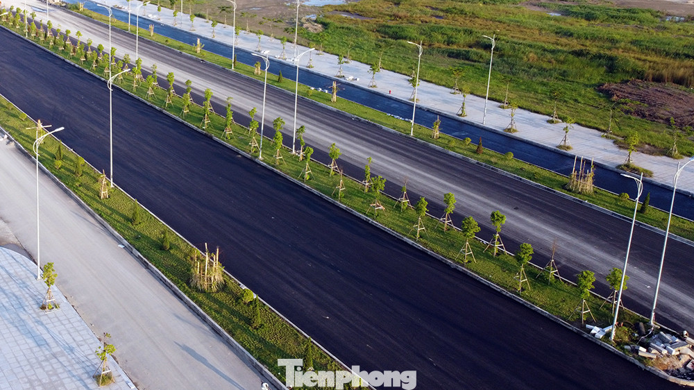 Cận cảnh cây cầu 'Cánh chim biển' của thành phố Hải Phòng ảnh 8