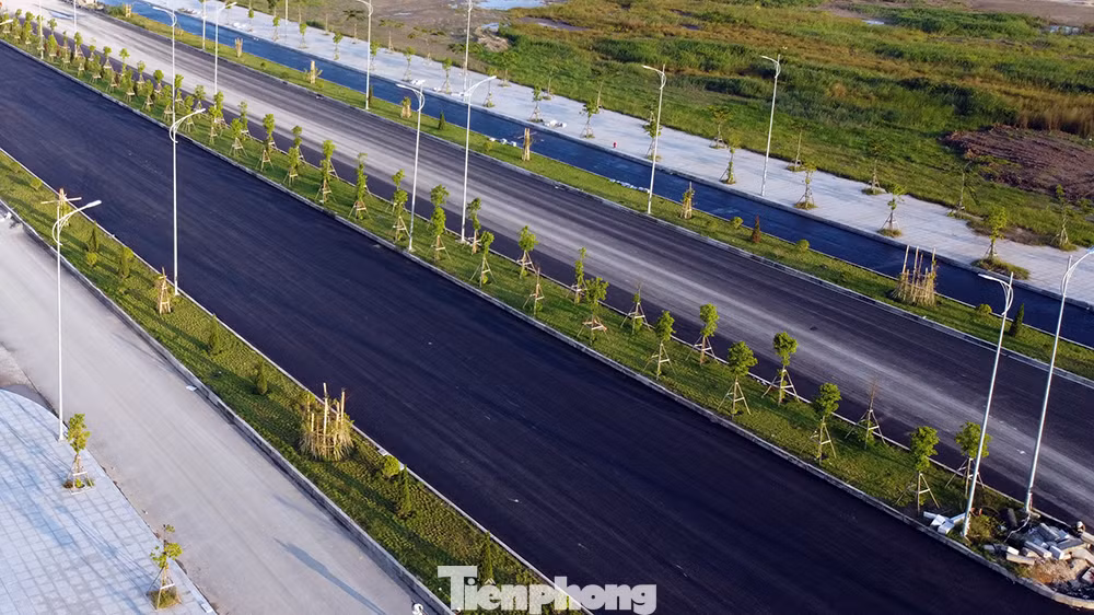 Cận cảnh cây cầu 'Cánh chim biển' của thành phố Hải Phòng ảnh 8