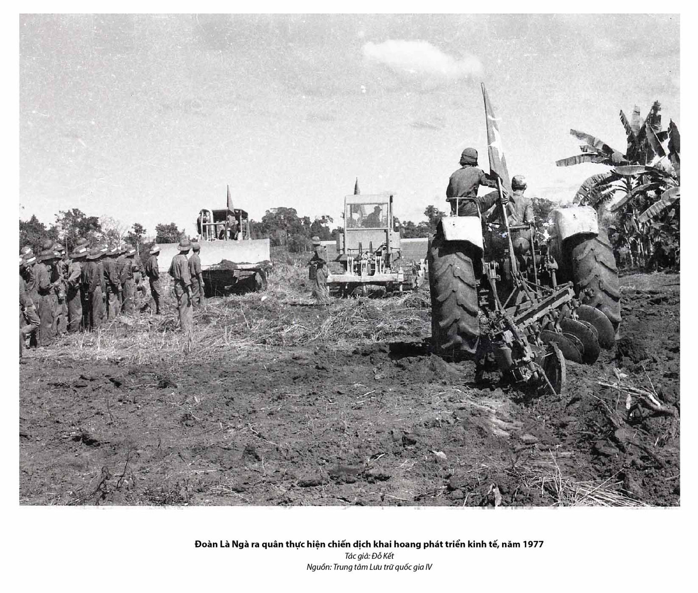 Tuổi trẻ - Một thời và mãi mãi ảnh 4