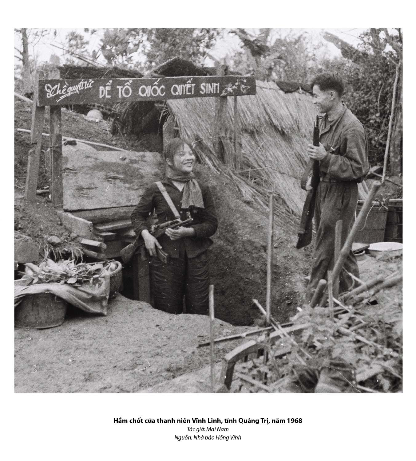 Tuổi trẻ - Một thời và mãi mãi ảnh 19