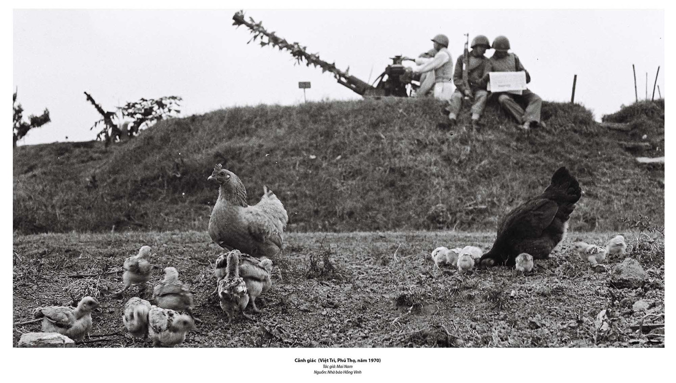 Tuổi trẻ - Một thời và mãi mãi ảnh 14