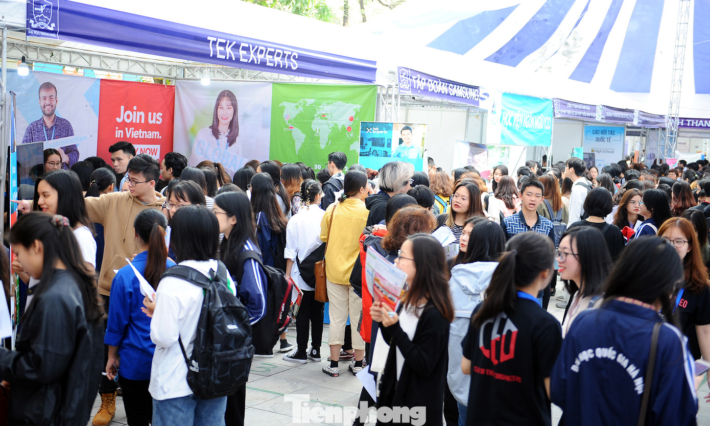 Ra mắt website Ngân hàng việc làm dành cho sinh viên ảnh 1