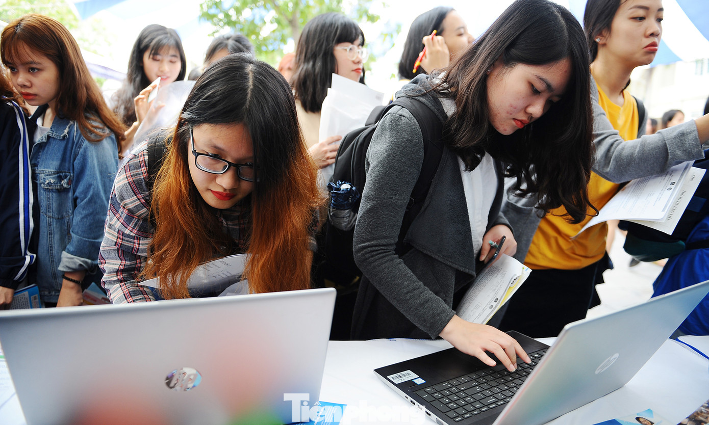 Ra mắt website Ngân hàng việc làm dành cho sinh viên ảnh 9