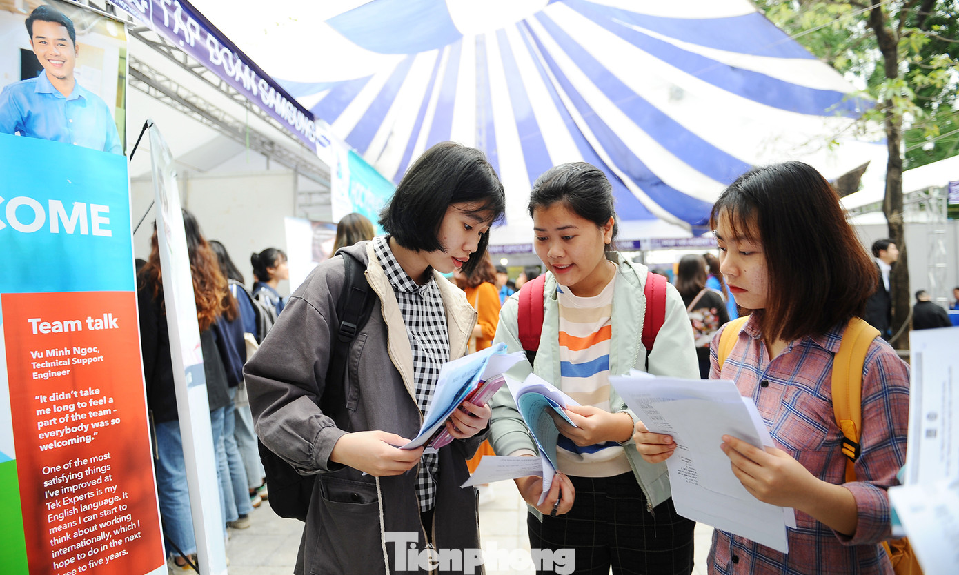 Ra mắt website Ngân hàng việc làm dành cho sinh viên ảnh 4