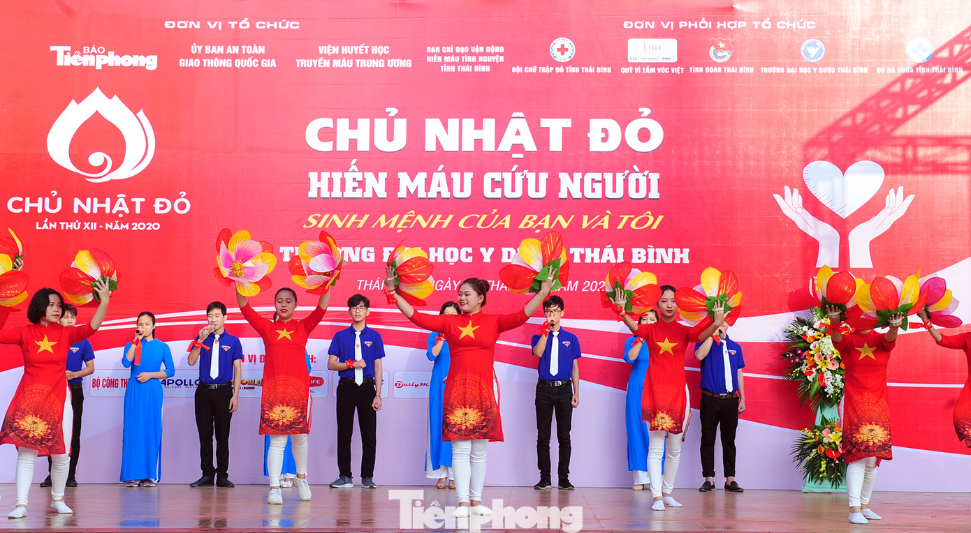 Dòng người xếp hàng hiến máu trong chương trình Chủ nhật Đỏ tại Thái Bình ảnh 1