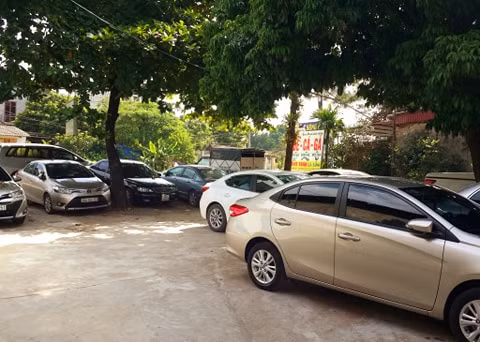 Hà Nội: Dân 'trẩy hội' buôn đất Ba Vì ảnh 6