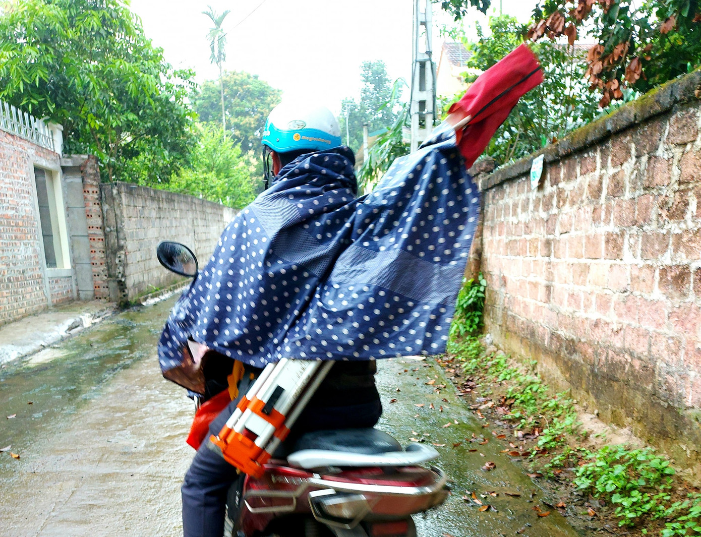 Hà Nội: Dân 'trẩy hội' buôn đất Ba Vì ảnh 3