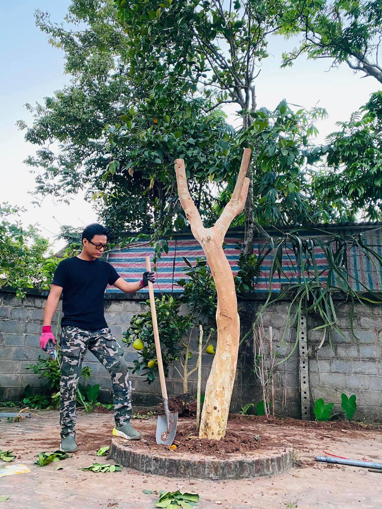 Lâm Vỹ Dạ khoe vai trần gợi cảm; Hậu ly hôn, Phạm Quỳnh Anh ngày càng tăng hạng nhan sắc ảnh 10