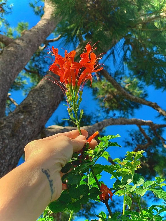 Hiền Hồ vào vai cô y tá trong cảnh quay lãng mạn; Con trai Hồ Ngọc Hà bế em cực khéo ảnh 10