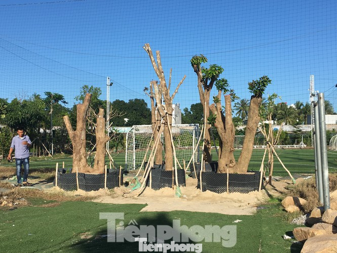 Khánh Hoà kiểm tra việc ưu ái cho thuê 'đất vàng' SVĐ Cam Ranh giá bèo ảnh 1