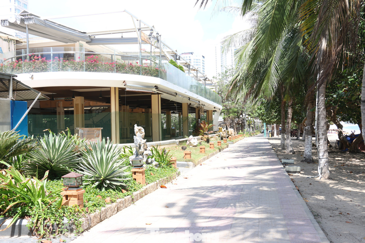 Khánh Hoà tiếp tục thu hồi đất bờ biển Nha Trang để làm công viên ảnh 2