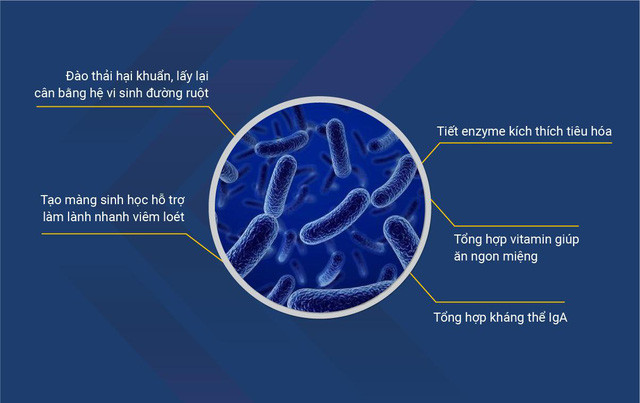 “Thoát nỗi lo” viêm đại tràng nhờ Bào tử lợi khuẩn LiveSpo COLON ảnh 3