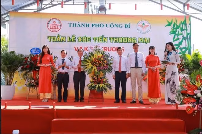 Chợ đồ cũ Thưởng Thưởng: Cung cấp các đồ cũ thanh lý hàng đầu hiện nay ảnh 3