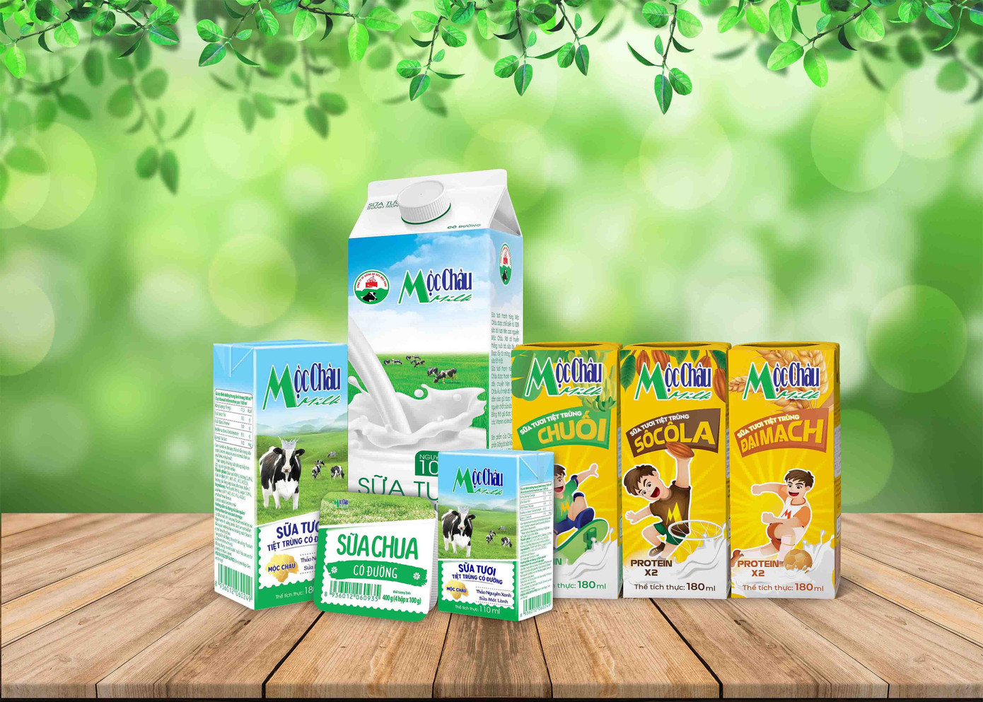 Mộc châu Milk chính thức lên sàn Upcom, quản trị công ty theo định hướng công khai ảnh 5