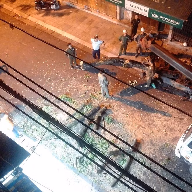 Lo ngại mất trộm, Hà Nội mặc 'áo giáp sắt' cho hàng sưa đỏ ảnh 15