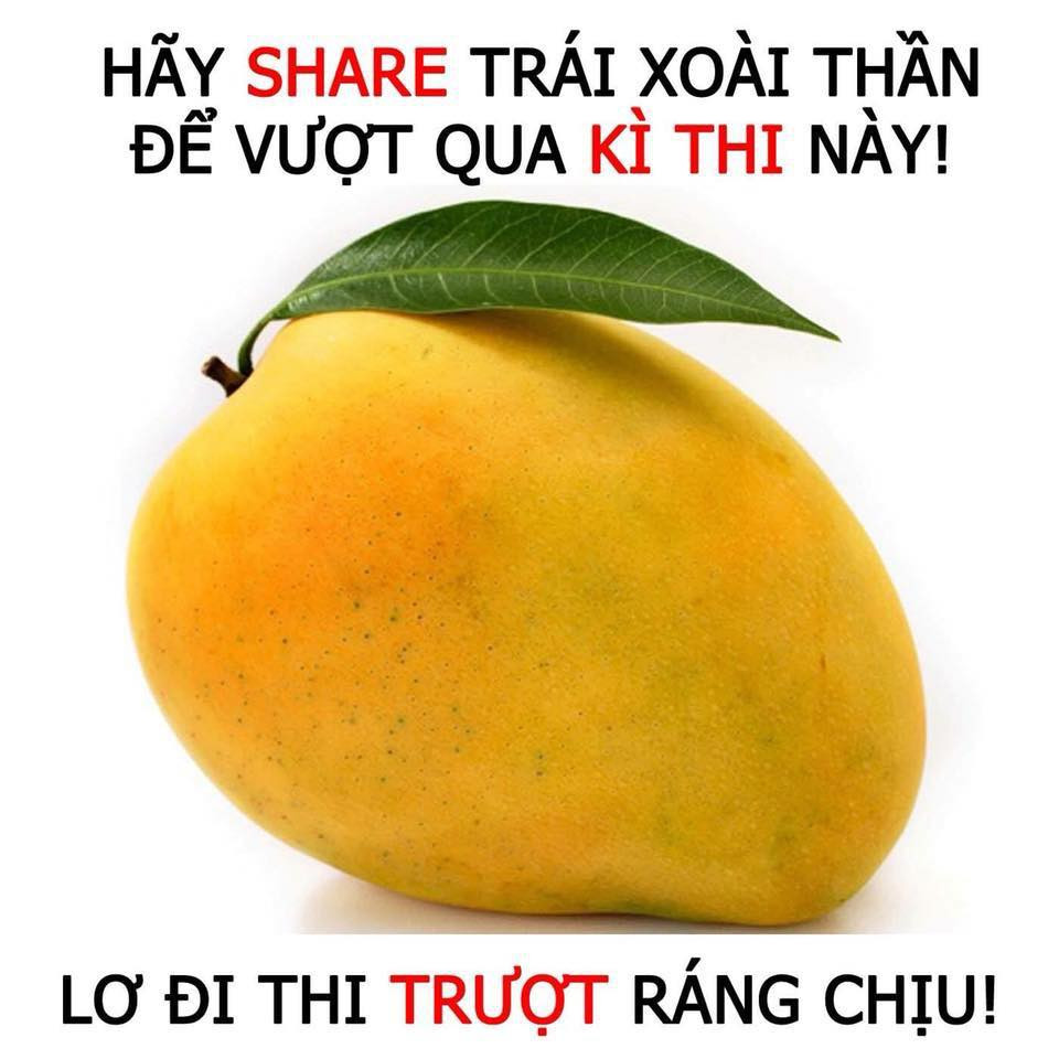 Ký sự ôn thi của 2K2-ers: Đừng share “thần” xoài nữa, chúng tớ chỉ cần “thần” điều hòa! ảnh 1