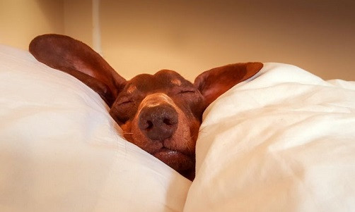 Q&A về cốc nguyệt san: “Cô bạn” sành điệu và xịn xò trong những ngày “đèn đỏ” ảnh 6