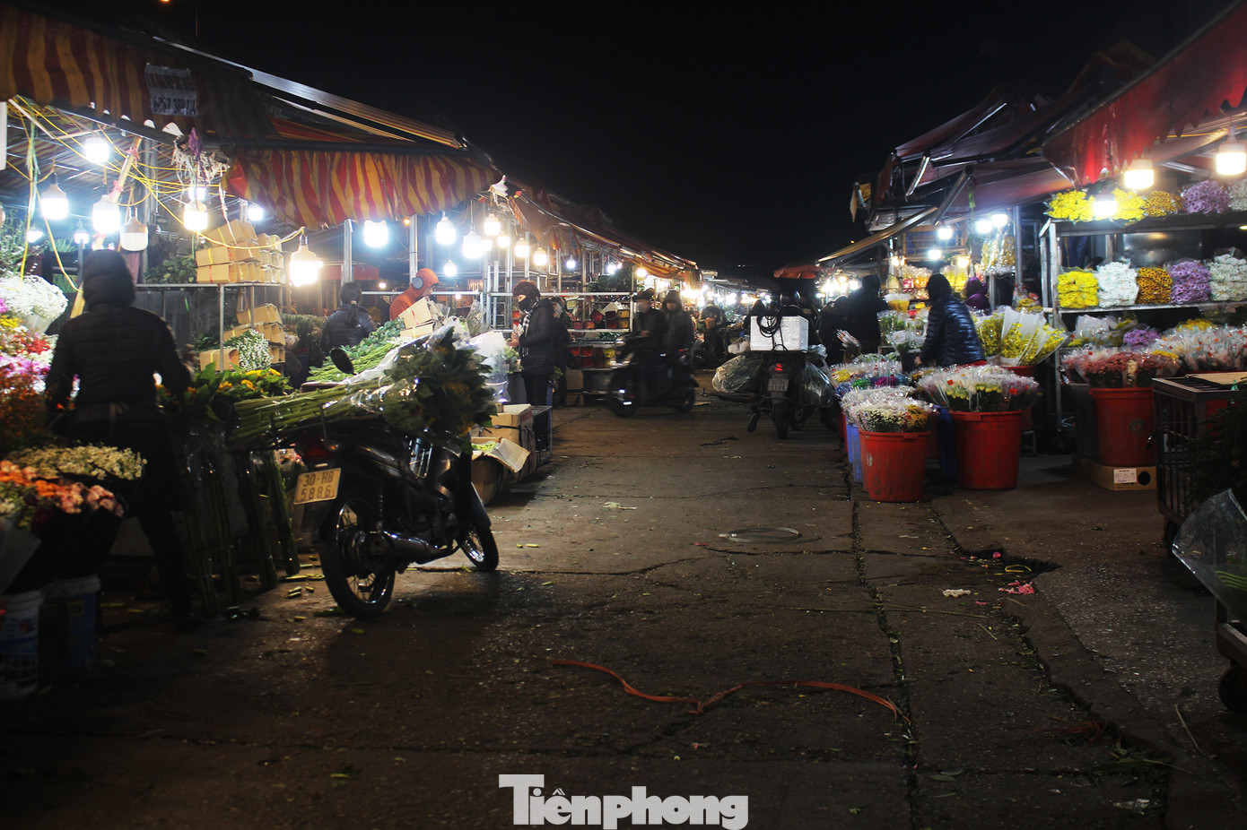 Nhọc nhằn mưu sinh trong giá lạnh ở chợ hoa lớn nhất Thủ đô ảnh 6