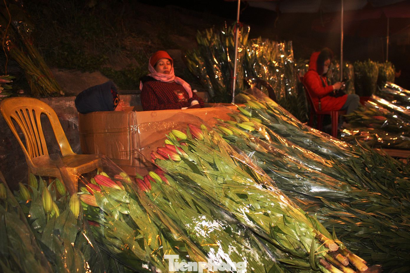 Nhọc nhằn mưu sinh trong giá lạnh ở chợ hoa lớn nhất Thủ đô ảnh 12