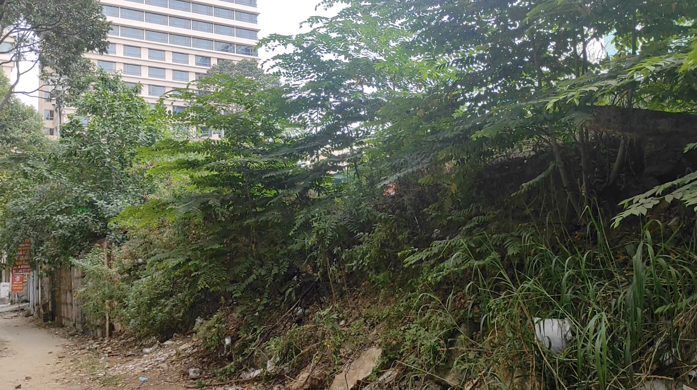 Cận cảnh khu 'đất vàng' hơn 6.000 m2 rơi vào tay tư nhân ở TPHCM ảnh 5