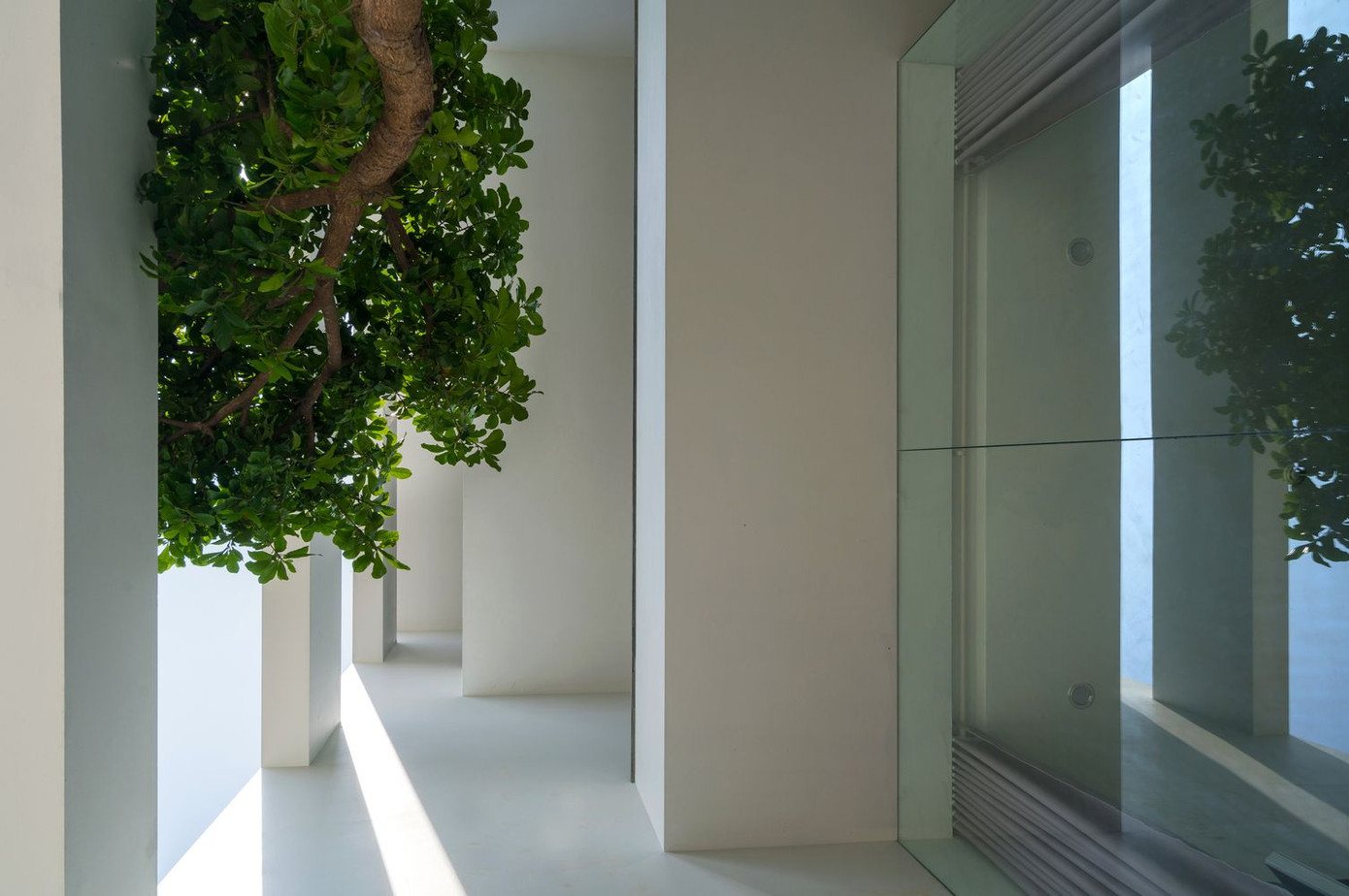 Nhà phố nhỏ hẹp đẹp hút mắt nhờ thiết kế thông minh ảnh 2