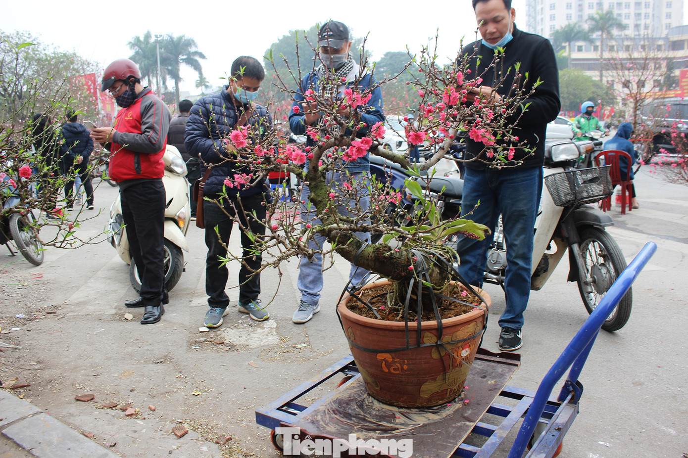 Chợ hoa dịp cận Tết và nỗi lòng người bán khi dịch COVID-19 bùng phát ảnh 3