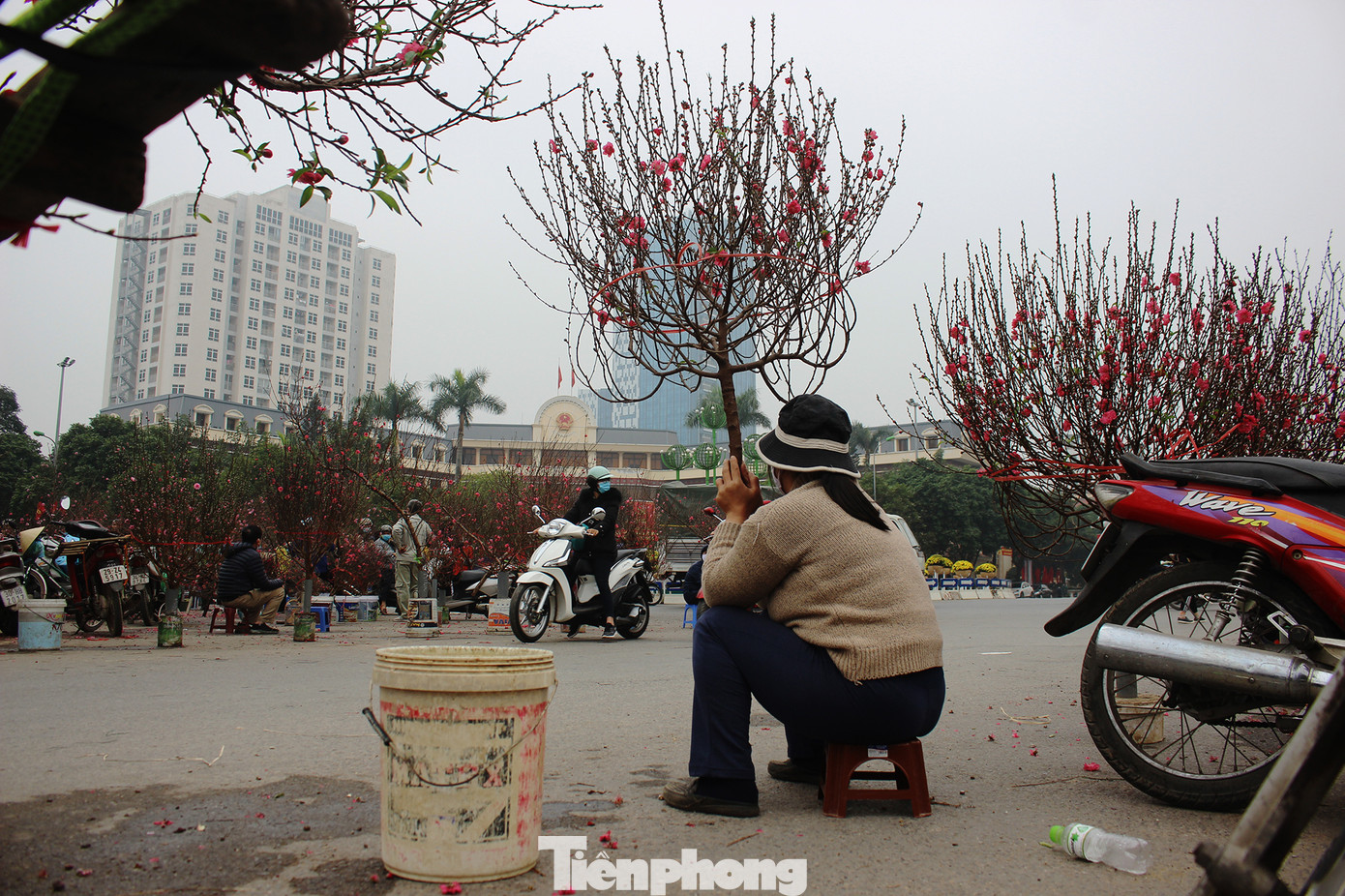 Chợ hoa dịp cận Tết và nỗi lòng người bán khi dịch COVID-19 bùng phát ảnh 21