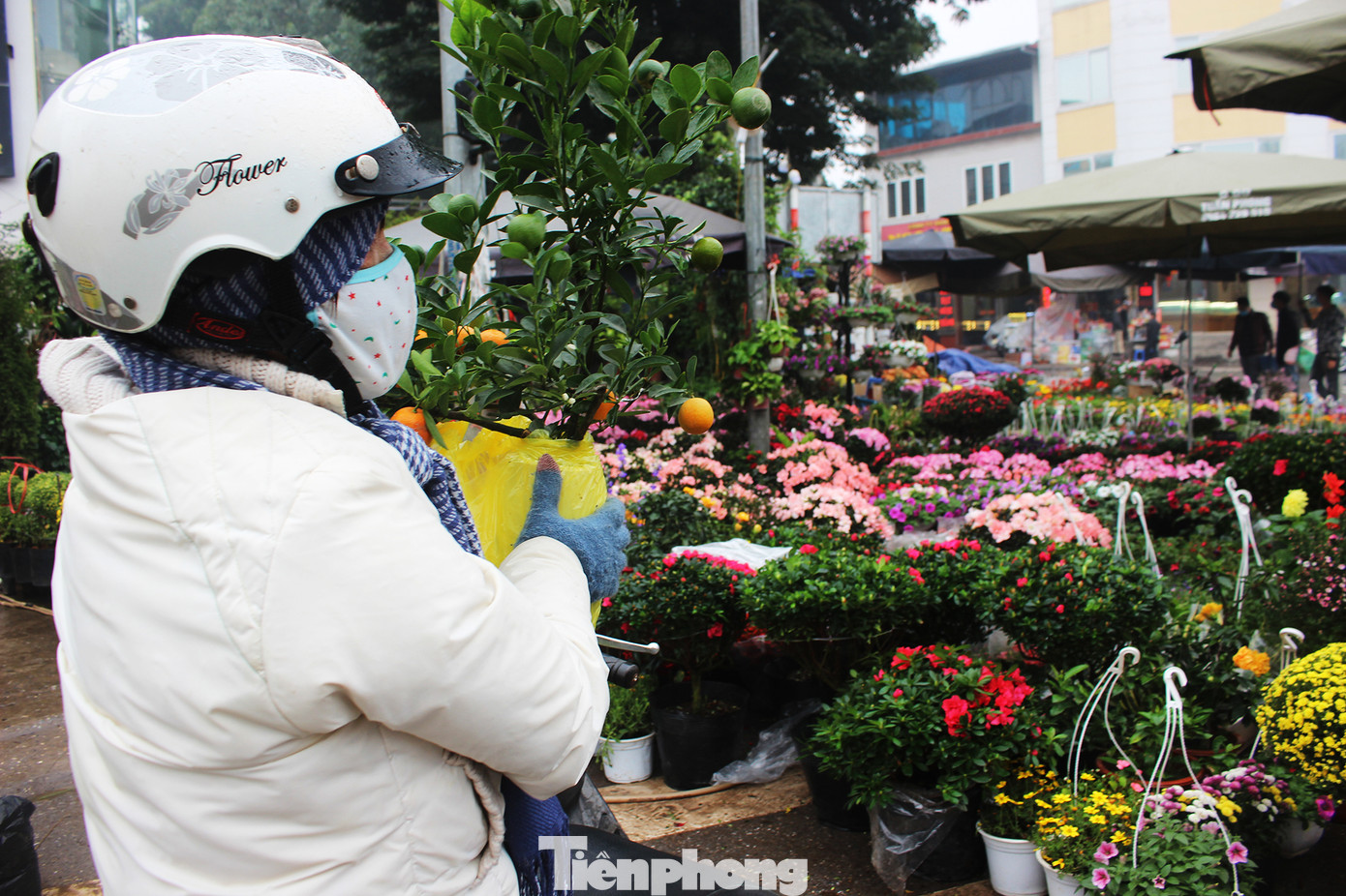 Chợ hoa dịp cận Tết và nỗi lòng người bán khi dịch COVID-19 bùng phát ảnh 13