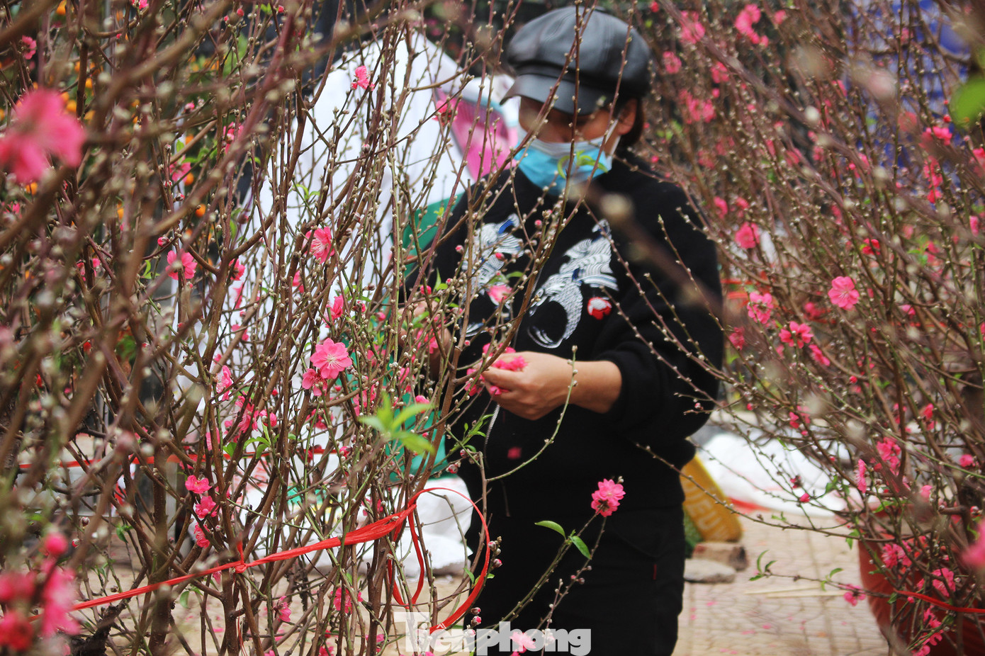 Chợ hoa dịp cận Tết và nỗi lòng người bán khi dịch COVID-19 bùng phát ảnh 22