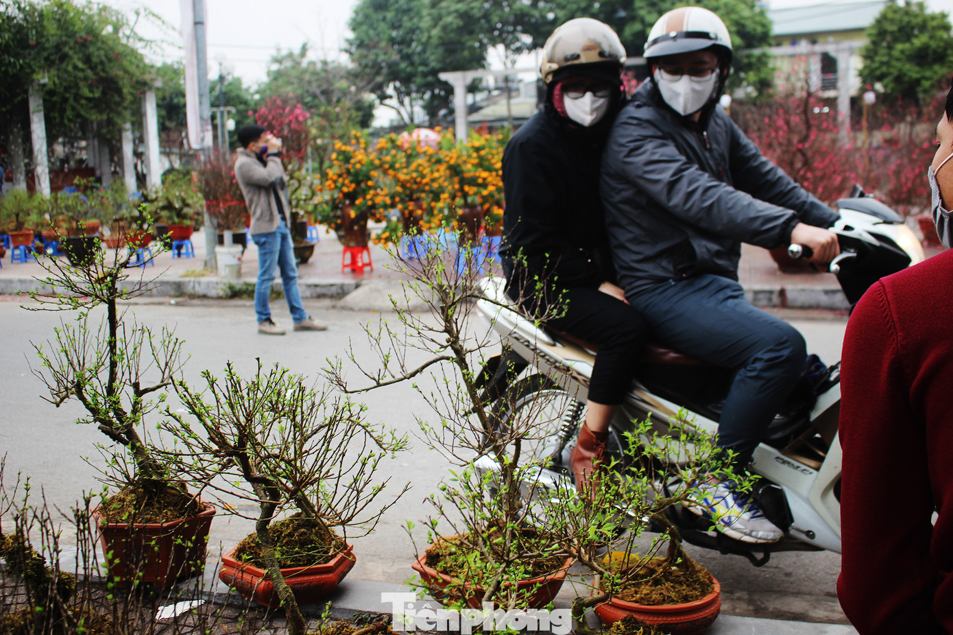 Chợ hoa dịp cận Tết và nỗi lòng người bán khi dịch COVID-19 bùng phát ảnh 19