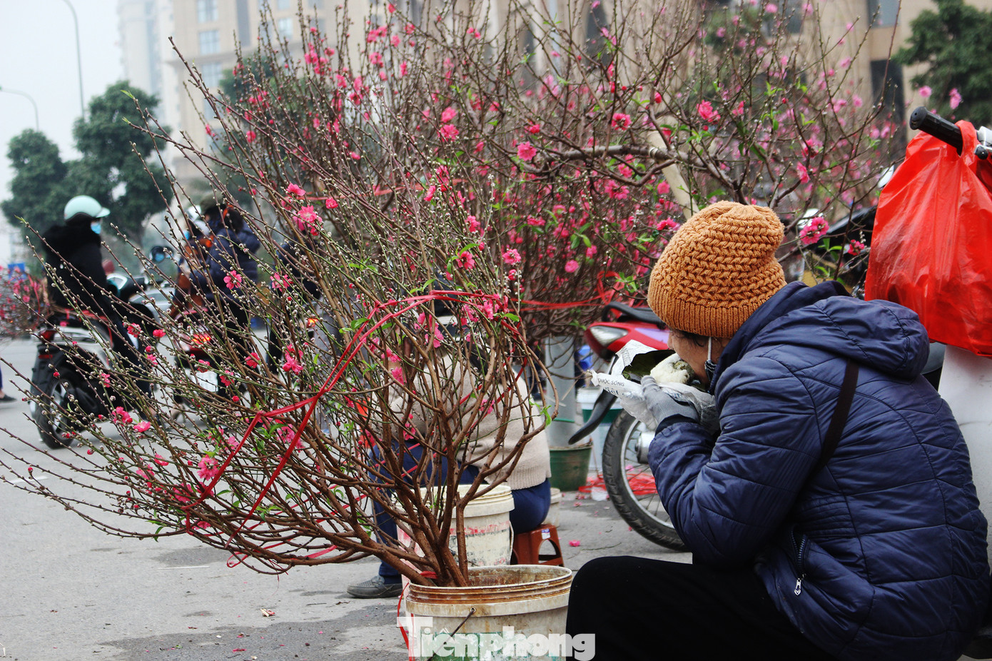 Chợ hoa dịp cận Tết và nỗi lòng người bán khi dịch COVID-19 bùng phát ảnh 24