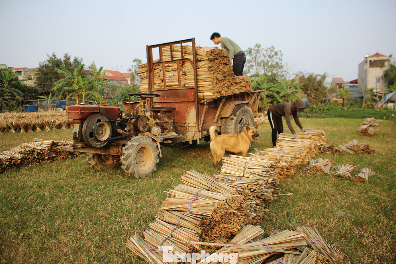 Nhịp sống hối hả dịp cận Tết ở làng nghề làm tăm hương cổ ở Hà Nội ảnh 8