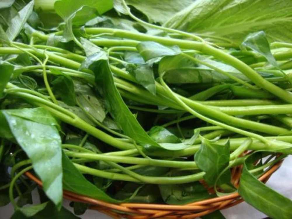 Rau muống: Cực tốt và cực độc, biết mà tránh khi ăn kẻo 'rước họa vào thân' ảnh 2