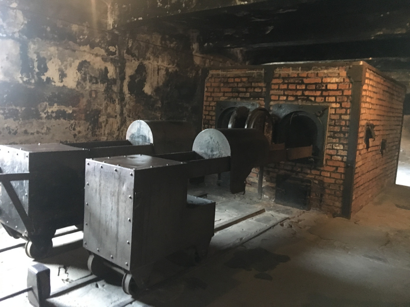 Tối nay phát VTV đặc biệt về sự hủy diệt của phát xít Đức ảnh 1