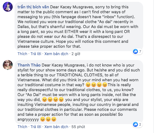 Ca sĩ Mỹ mặc áo dài không quần khiến cộng đồng mạng Việt 'dậy sóng' ảnh 7