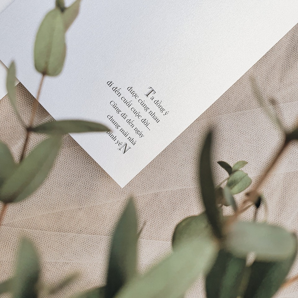 Vì sao Đông Nhi đặt vé máy bay cho 500 khách mời dự đám cưới? ảnh 3