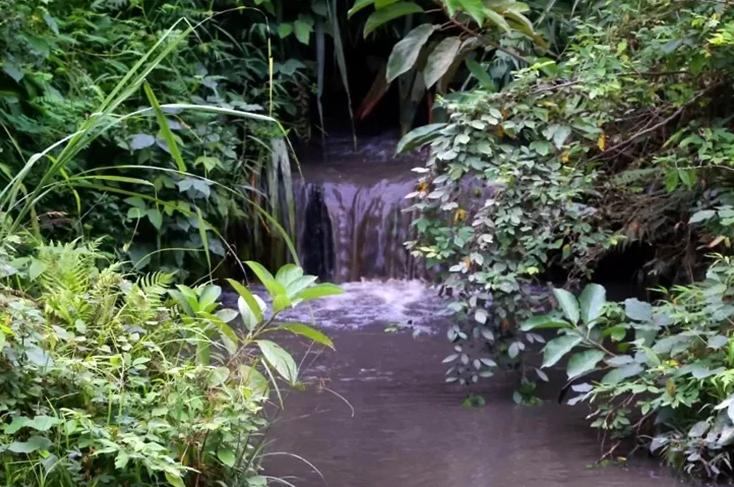 Từ vụ 'đầu độc' nước sông Đà: Thay thế nguồn nước nếu không đảm bảo ảnh 4