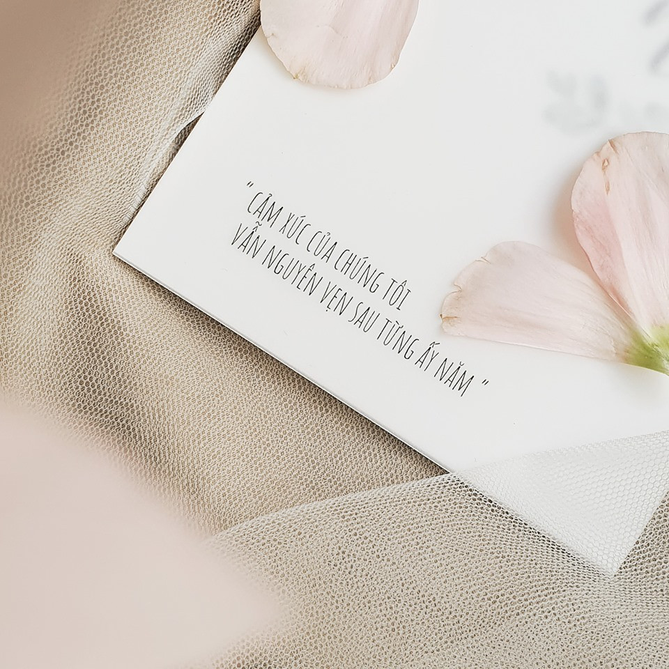 Vì sao Đông Nhi đặt vé máy bay cho 500 khách mời dự đám cưới? ảnh 2