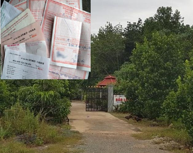 Công ty cao su có doanh thu hàng nghìn tỷ đồng bị đề nghị điều tra ảnh 1