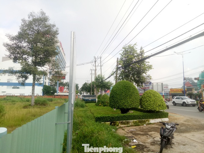 Đấu giá đất công tại Bình Dương: ‘Bỏ một lời mười’ ảnh 3