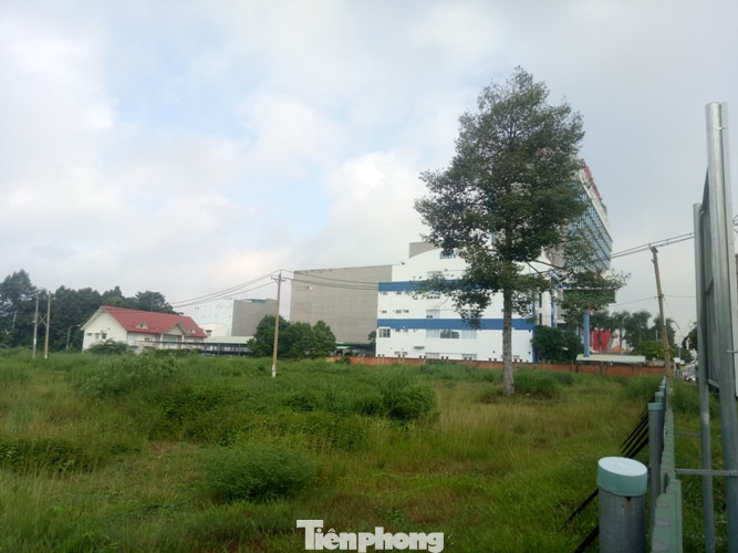 Đấu giá đất công tại Bình Dương: ‘Bỏ một lời mười’ ảnh 4