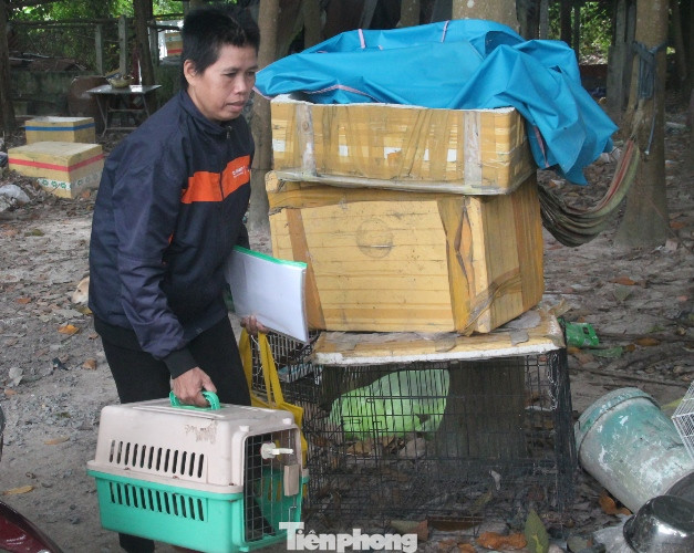 Người phụ nữ dành cả tuổi thanh xuân đi giải cứu thú cưng ảnh 2