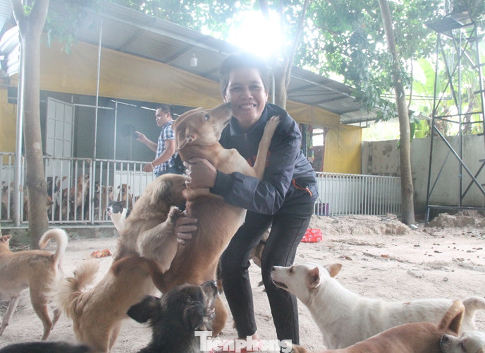 Người phụ nữ dành cả tuổi thanh xuân đi giải cứu thú cưng ảnh 4