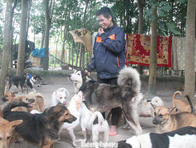 Người phụ nữ dành cả tuổi thanh xuân đi giải cứu thú cưng ảnh 6