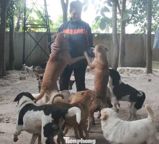 Người phụ nữ dành cả tuổi thanh xuân đi giải cứu thú cưng ảnh 5