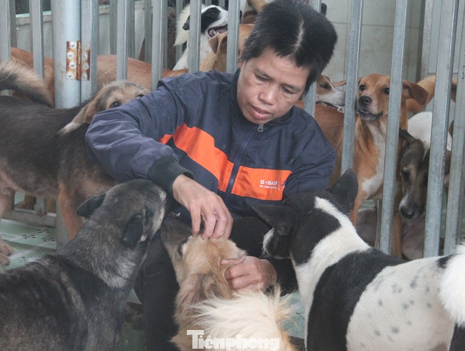 Người phụ nữ dành cả tuổi thanh xuân đi giải cứu thú cưng ảnh 3
