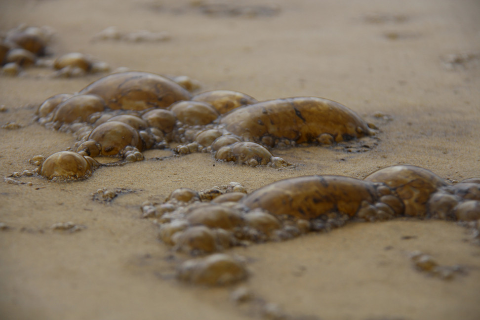 Nước biển nổi bọt đen như cà phê lan rộng vùng biển Khu kinh tế Dung Quất ảnh 4