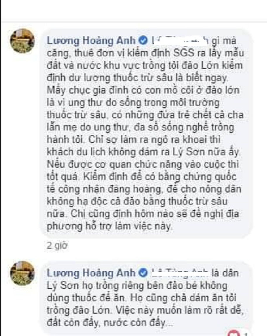 Đề nghị Bộ Công an vào cuộc xử lý facebooker tung 'tin vịt' về tỏi Lý Sơn ảnh 2